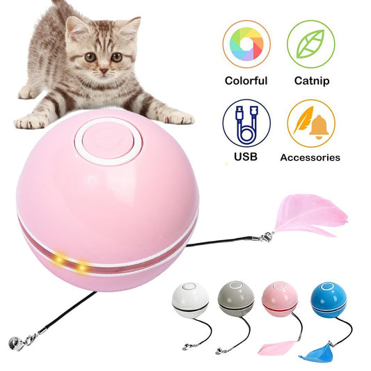 Interactive pet toy ball for cats and small dogs