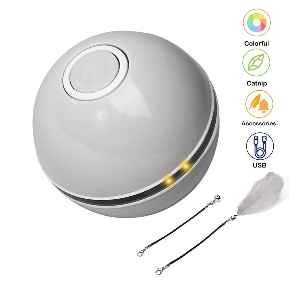 Interactive pet toy ball for cats and small dogs