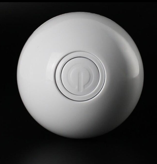 Interactive pet toy ball for cats and small dogs