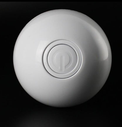 Interactive pet toy ball for cats and small dogs