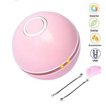 Interactive pet toy ball for cats and small dogs
