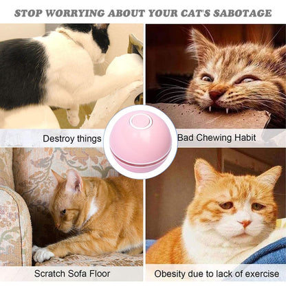 Interactive pet toy ball for cats and small dogs