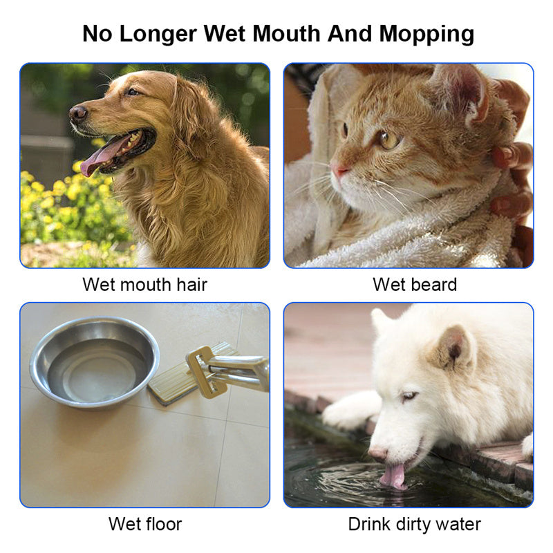 1.5L floating water bowl for cats and dogs