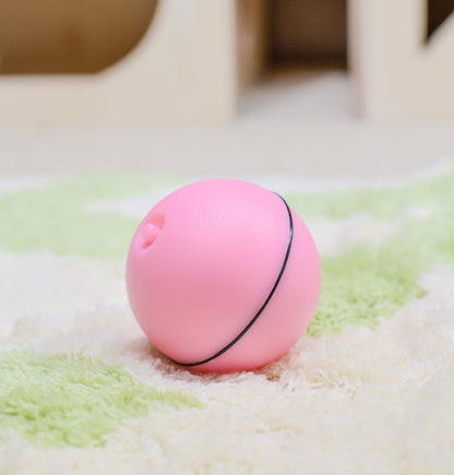 Interactive pet toy ball for cats and small dogs