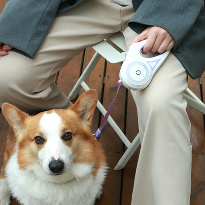 Veluna Solves Pet Walking Safety in Seconds – Retractable Leash & Collar