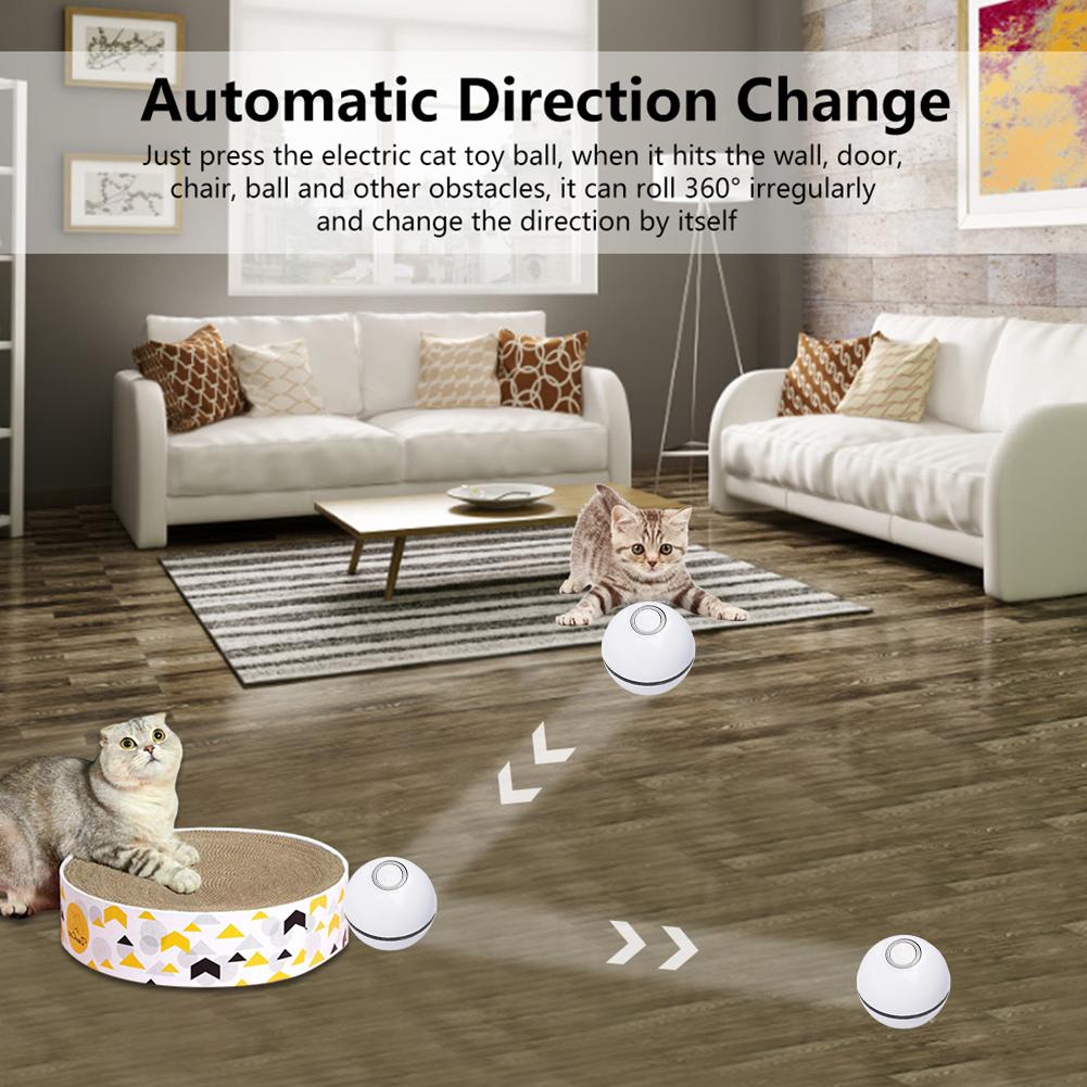 Interactive pet toy ball for cats and small dogs
