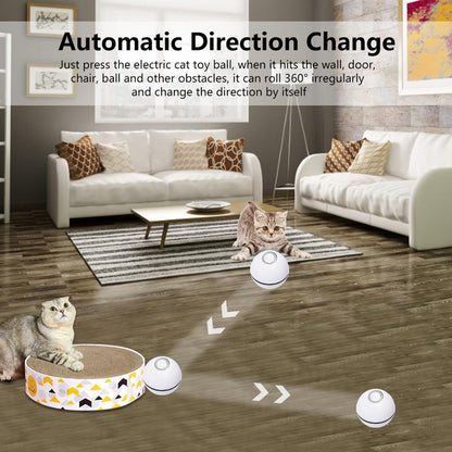 Interactive pet toy ball for cats and small dogs
