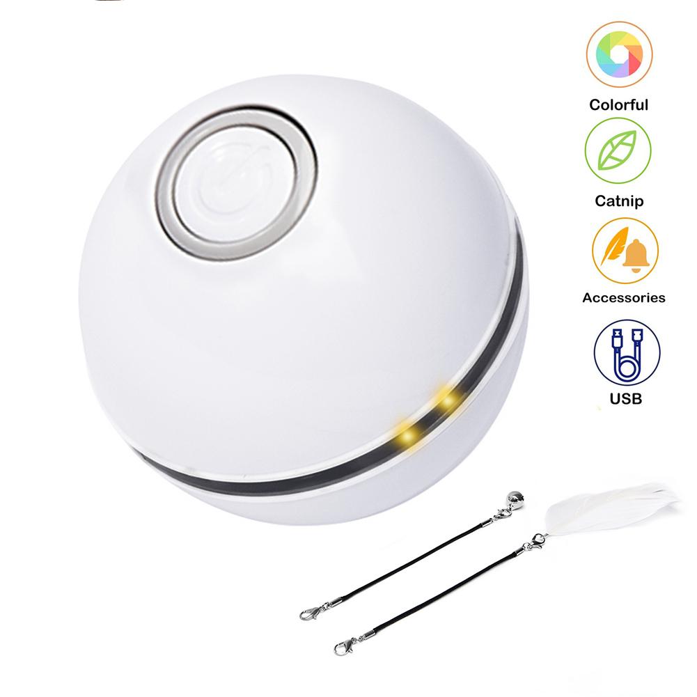 Interactive pet toy ball for cats and small dogs