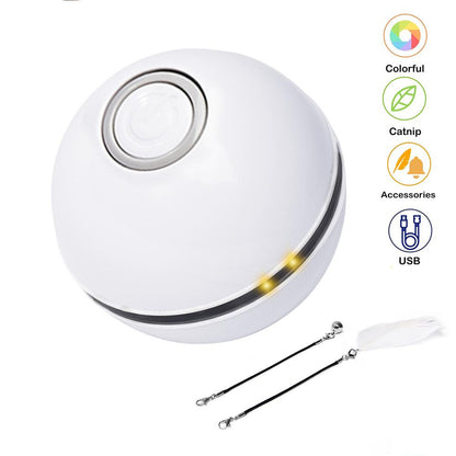 Interactive pet toy ball for cats and small dogs