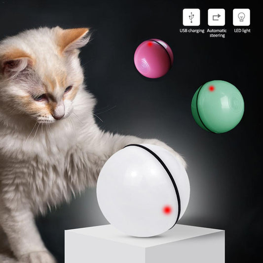 Interactive pet toy ball for cats and small dogs