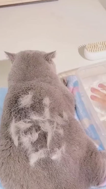 3-in-1 Pet Grooming Brush